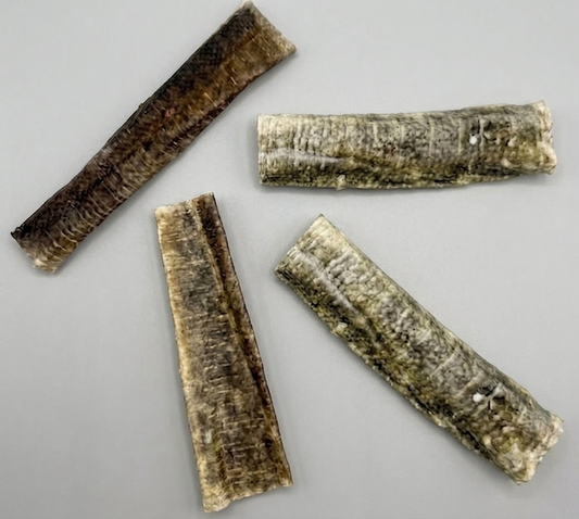 Cod Skin Long Flatties - 5 Pack
